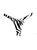 002 Bikini Bottoms in Zebra Print — flatlay